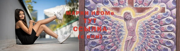 прущие грибы Валдай