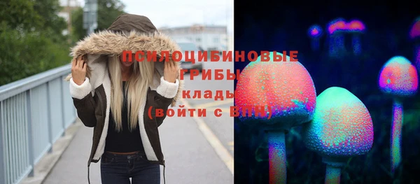 эйфоретик Новокубанск