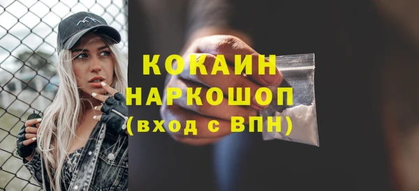 прущий лед Новозыбков