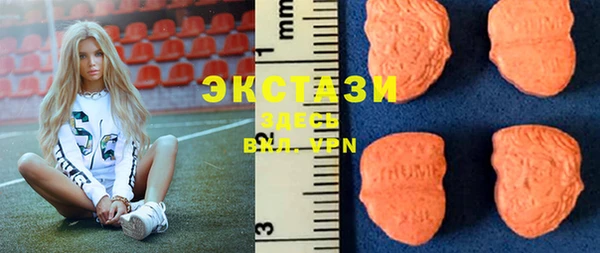прущий лед Новозыбков