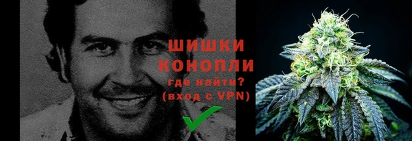 прущий лед Новозыбков