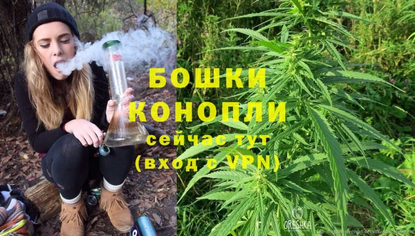 прущий лед Новозыбков