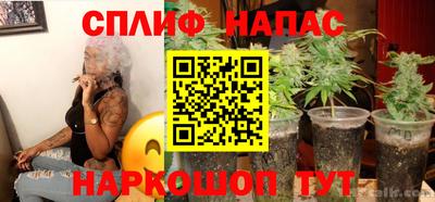 гидра Ипатово
