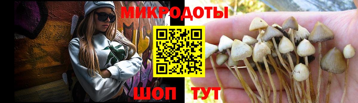 Псилоцибиновые грибы мицелий  Вход с VPN  Кропоткин 